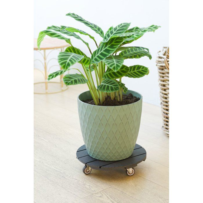 NATURE Plant Pot Stand with Wheels - WPC - H8.6 x Ø38 cm - Anthracite