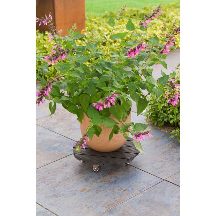 NATURE Plant Pot Stand with Wheels - WPC - H8.6 x Ø38 cm - Anthracite