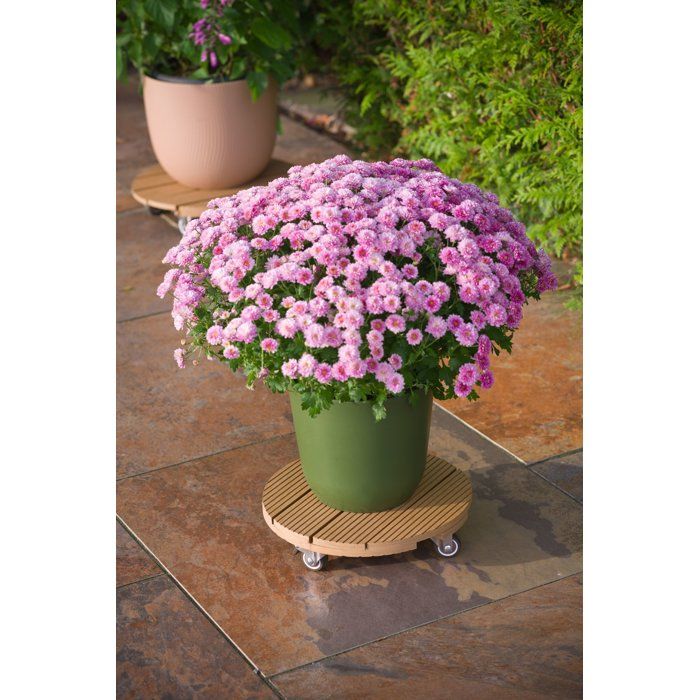 NATURE Plant Pot Stand with Wheels - WPC - H7.5 x Ø30 cm - Wood