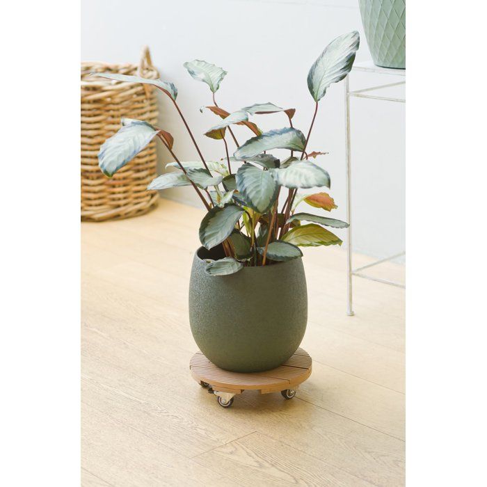 NATURE Plant Pot Stand with Wheels - WPC - H7.5 x Ø30 cm - Wood