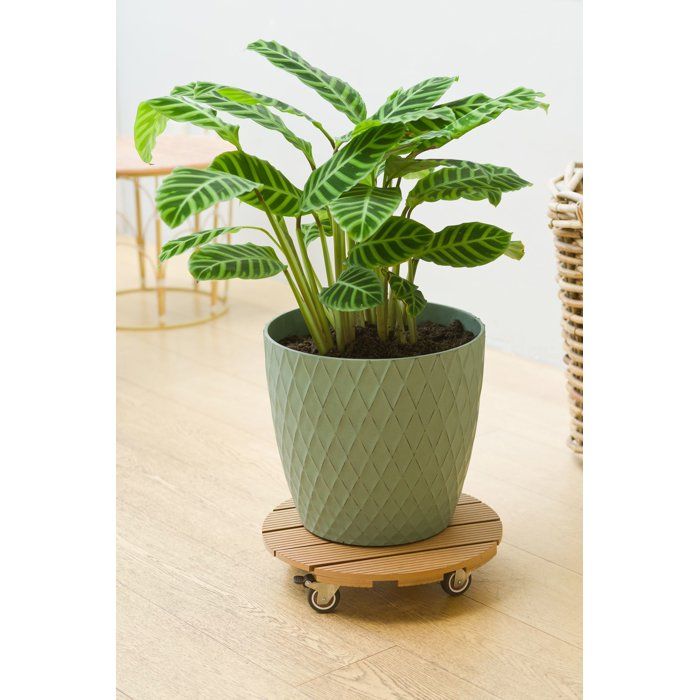 NATURE Plant Pot Stand with Wheels - WPC - H8.6 x Ø38 cm - Wood
