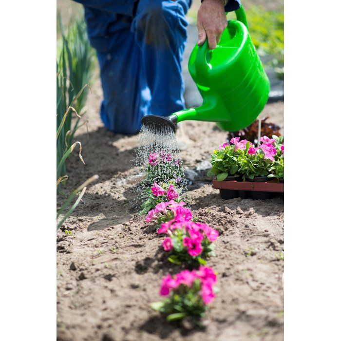 NATURE Watering Can - 10 L - Green - with Watering Rose