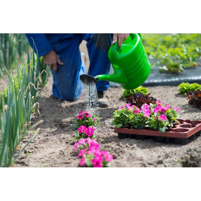 NATURE Watering Can - 10 L - Green - with Watering Rose