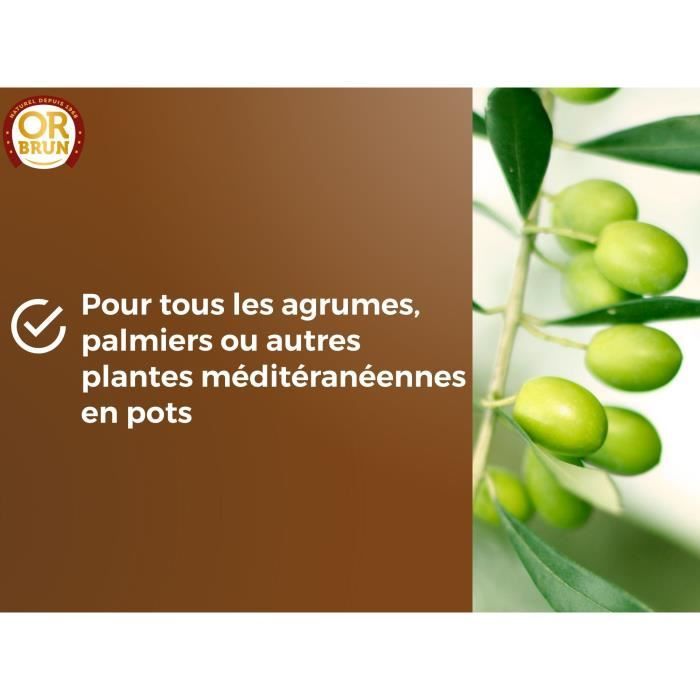 OR BRUN Citrus & Mediterranean Plant Soil - OBRTAGR6U - 6 L