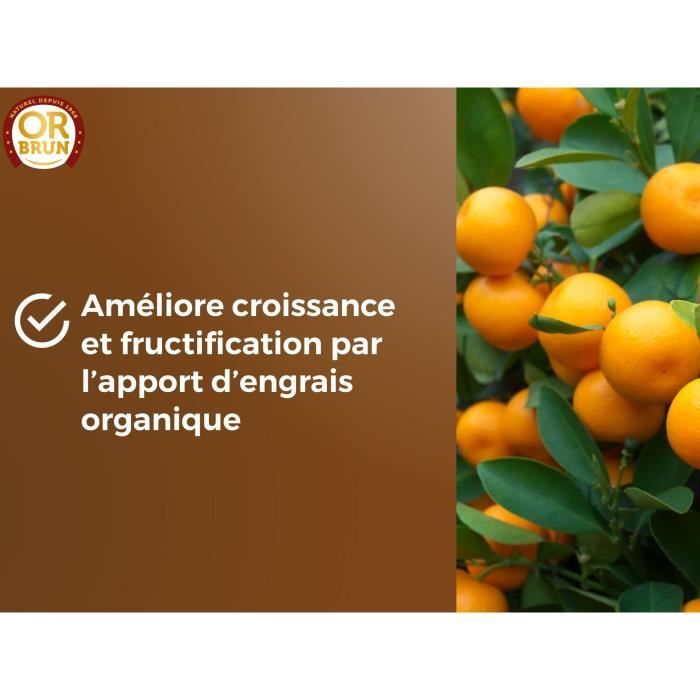 OR BRUN Citrus & Mediterranean Plant Soil - OBRTAGR6U - 6 L