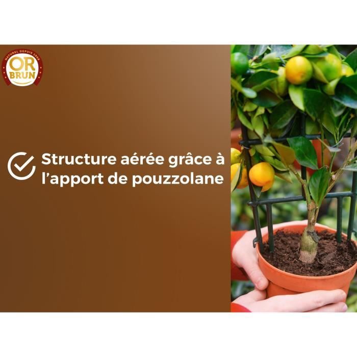 OR BRUN Citrus & Mediterranean Plant Soil - OBRTAGR6U - 6 L