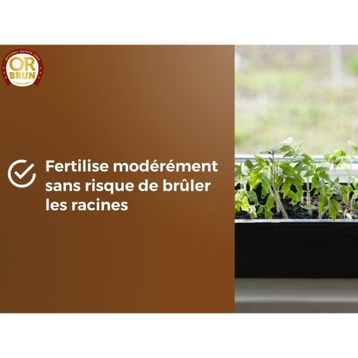 OR BRUN Seedling Soil - OBRTSEM6U - 6 L