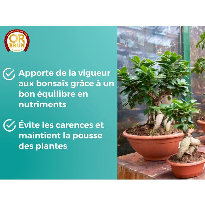 Bonsai Fertilizer - OR BRUN - OBRECLBONSAI250 - 250 ml - Improves and promotes growth - Made in France