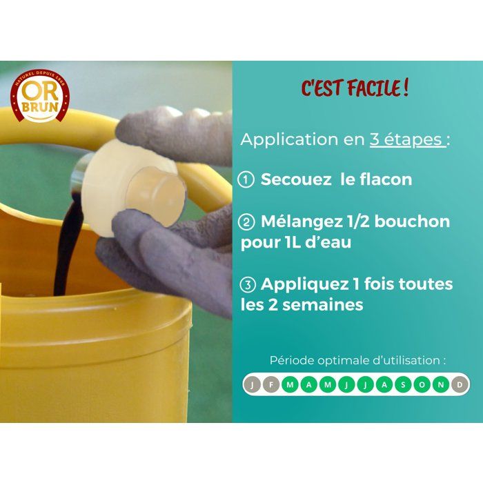 Bonsai Fertilizer - OR BRUN - OBRECLBONSAI250 - 250 ml - Improves and promotes growth - Made in France