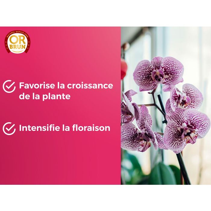 OR BRUN Orchid Fertilizer - 250 ml - Promotes Growth OBRECLORCH250