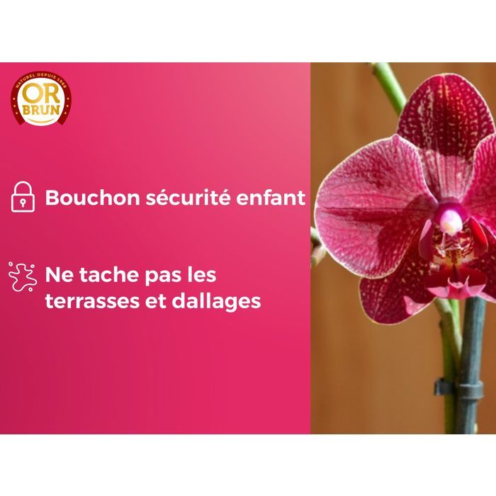OR BRUN Orchid Fertilizer - 250 ml - Promotes Growth OBRECLORCH250