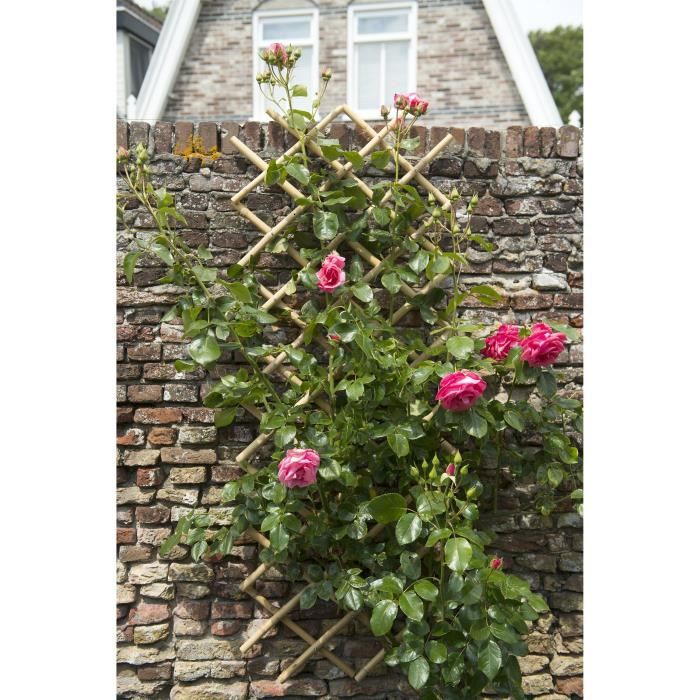 Natural Bamboo Expandable Trellis 45x180 cm