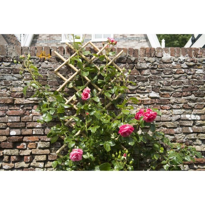 Natural Bamboo Expandable Trellis 45x180 cm