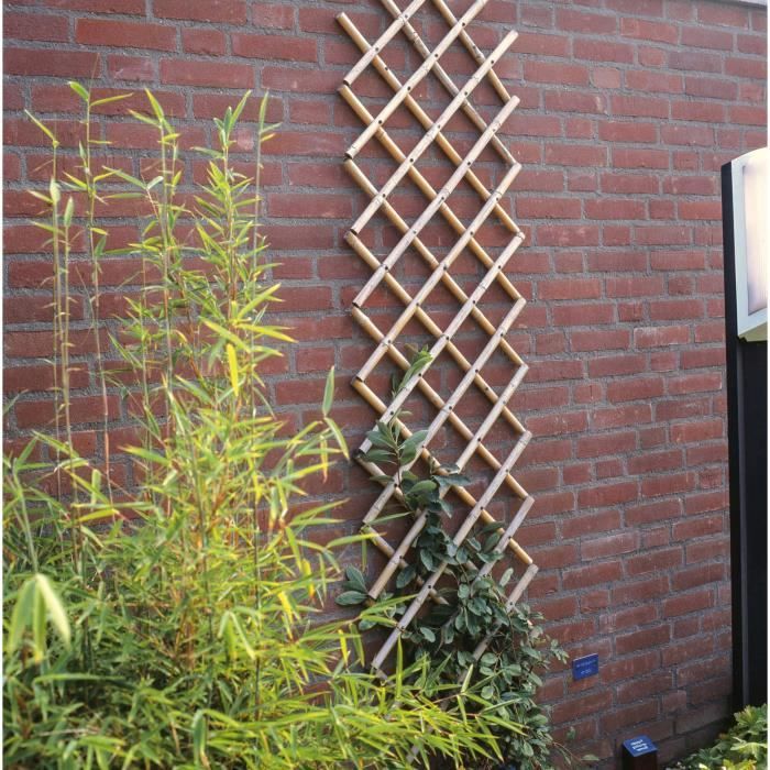 Natural Bamboo Expandable Trellis 45x180 cm