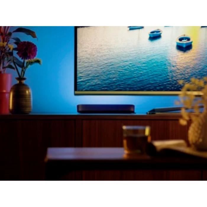 Philips Hue Play Smart Lamp 2-Pack Black