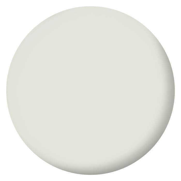 RIPOLIN Interior Paint - Champagny White - 2.5 L - Velvet Finish - High Opacity