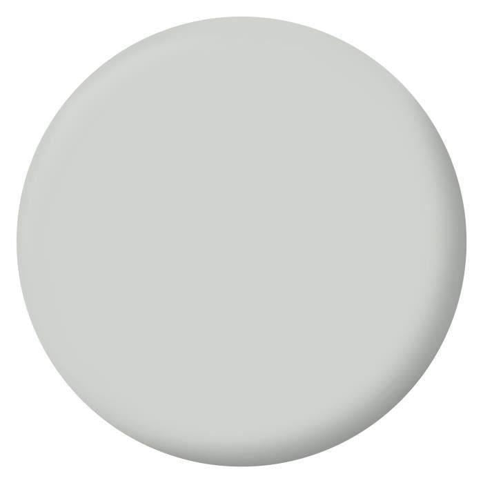 RIPOLIN Velvet Color Paint for Walls, Woodwork, Radiators - Lome Gray
