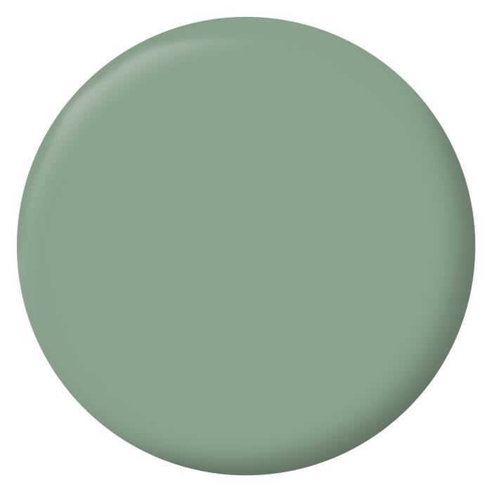 RIPOLIN Interior Paint - Simsun Green - 2.5 L - High Opacity