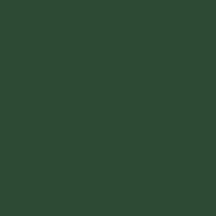 RIPOLIN Satin Wood Paint - High Protection 10 Years - Basque Green