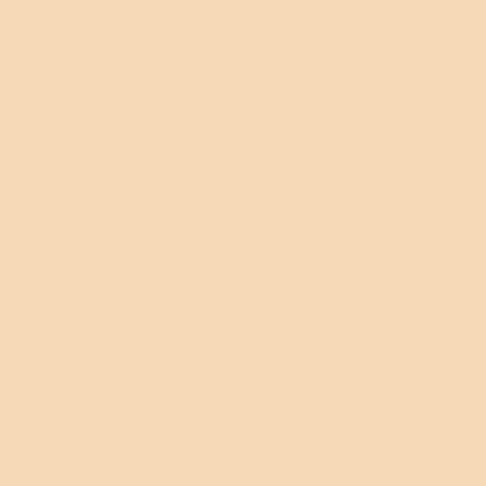 Ripolin Extreme Facade Protection Paint - Matte - 10 L
