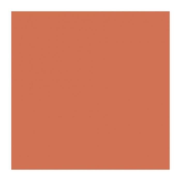 RIPOLIN Anti-Infiltration Roof Coating - Terracotta - 4 L - Exterior