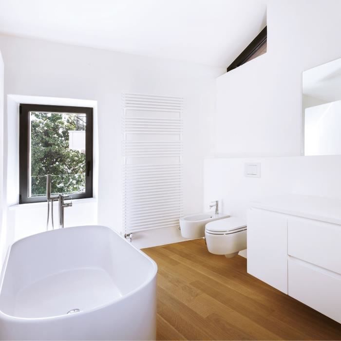 RIPOLIN Kitchen & Bathroom Ceiling Paint - Matte White - 1 L