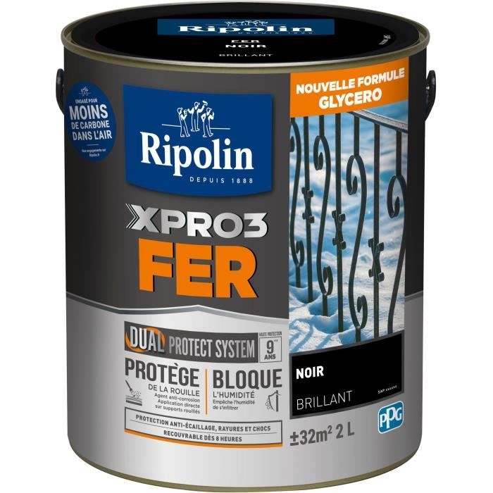 RIPOLIN Iron Paint - Black - Gloss - 2 L