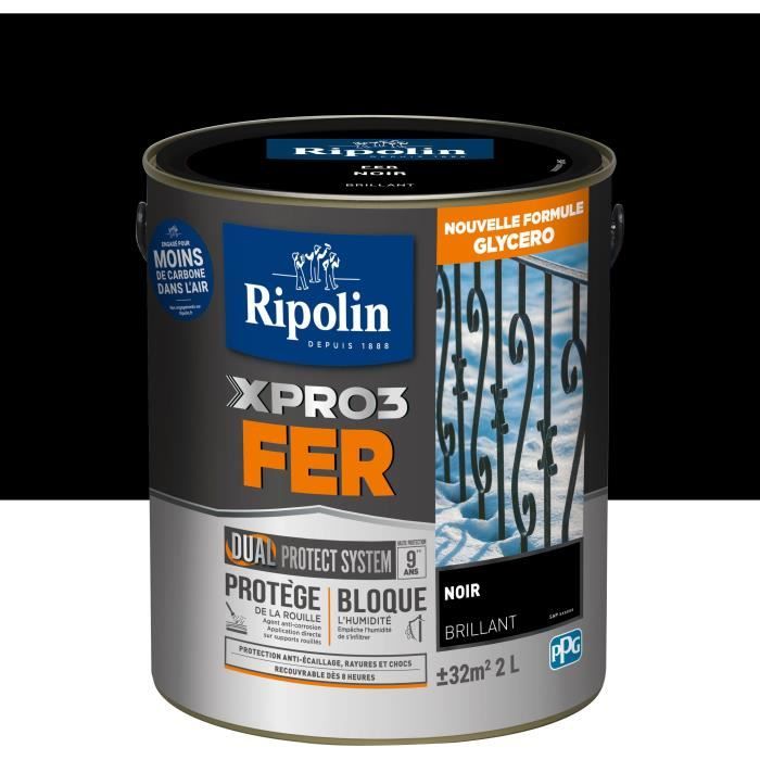 RIPOLIN Iron Paint - Black - Gloss - 2 L