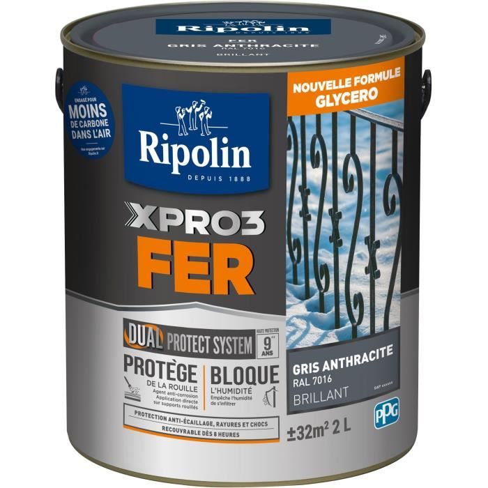 RIPOLIN Iron Paint - Gray - Gloss - 2 L