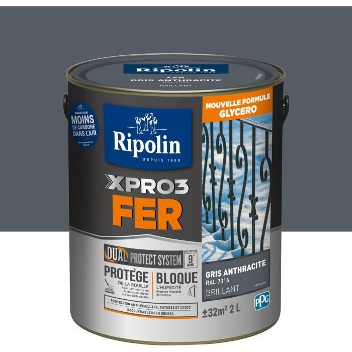 RIPOLIN Iron Paint - Gray - Gloss - 2 L