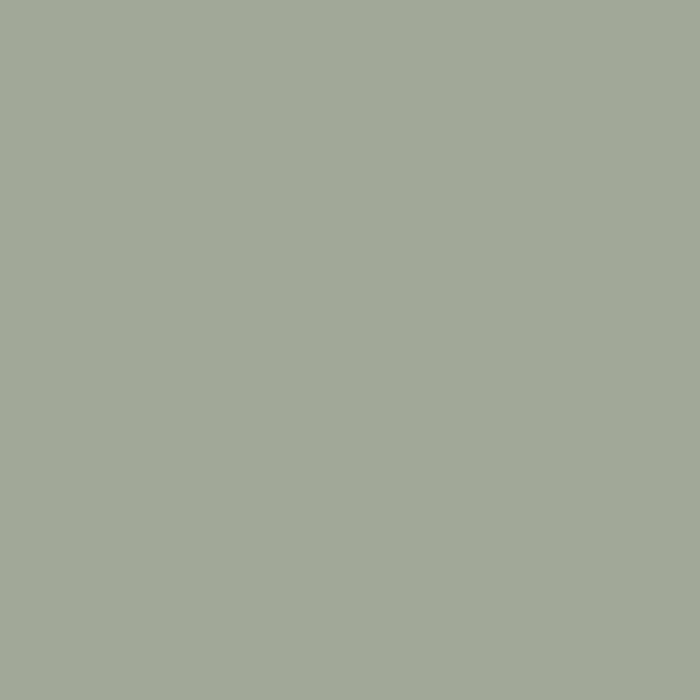 RIPOLIN Iron Paint - Olive Green - Gloss - 2 L