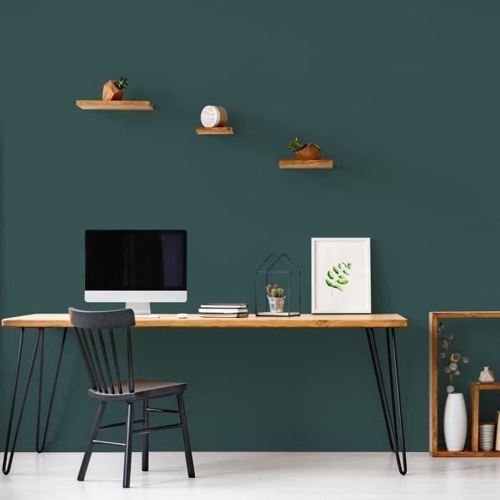 RIPOLIN Velvet Color Paint for Walls, Woodwork, Radiators - Armerie Green - 2.5 L