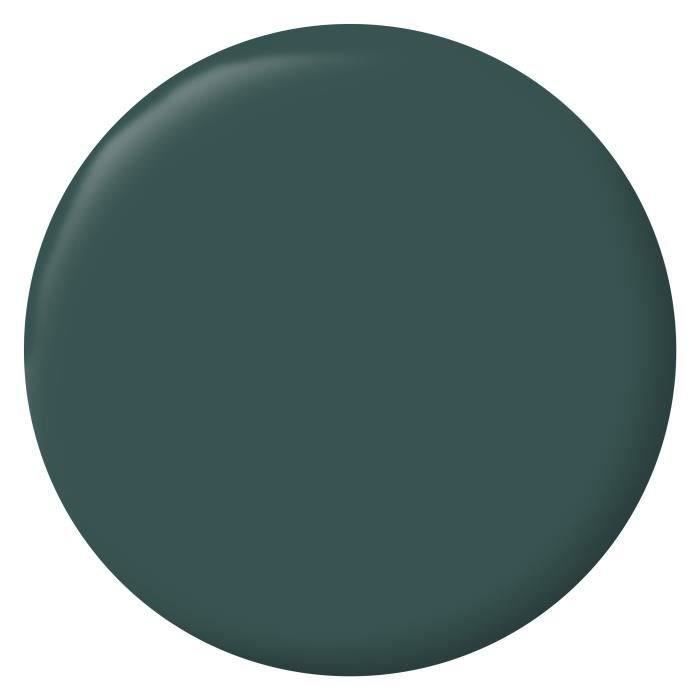 RIPOLIN Velvet Color Paint for Walls, Woodwork, Radiators - Armerie Green - 2.5 L