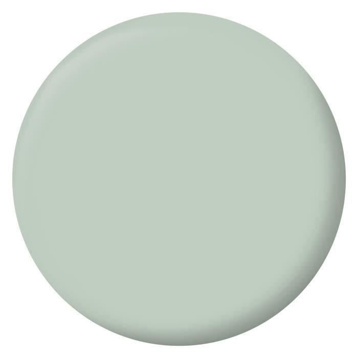 RIPOLIN Velvet Color Paint for Walls, Woodwork, Radiators - Palatino Green - 2.5 L