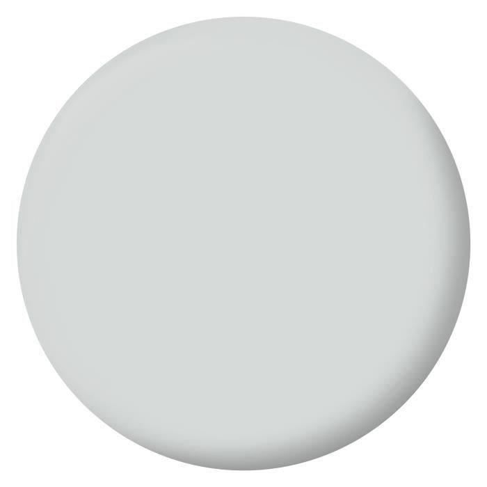 RIPOLIN Velvet Color Paint for Walls, Woodwork, Radiators - Mouse Grey - 2.5 L