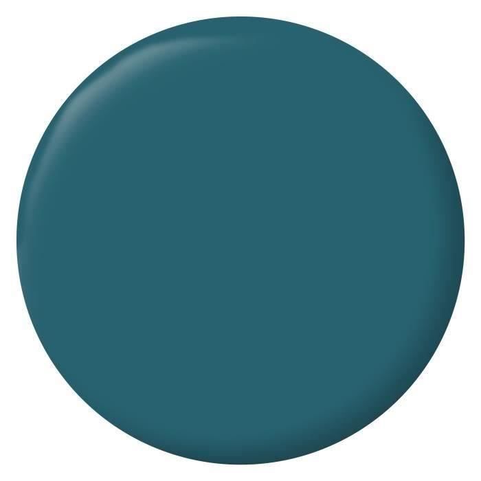 RIPOLIN Velvet Color Paint - Ainhoa Blue