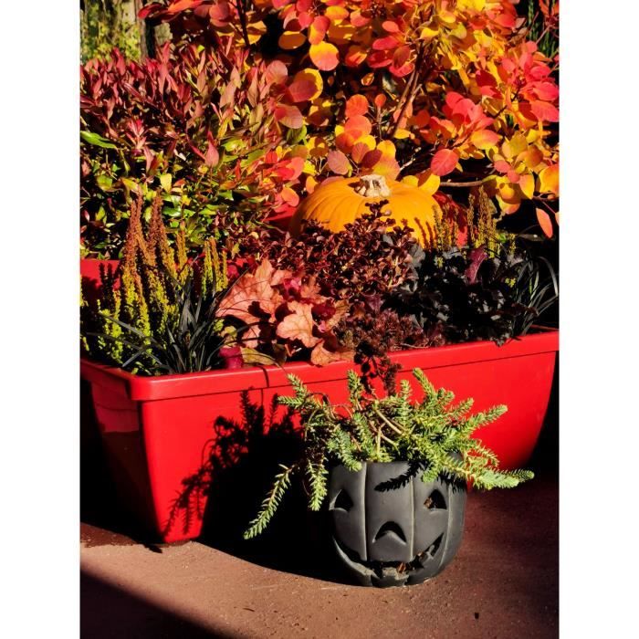 RIVIERA EVA Set of 2 Planters - Plastic - 57 x 19.5 x 19.5 cm - Red