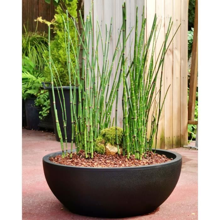 RIVIERA Flower Pot Bowl - Granite - D40 H15 cm - Black