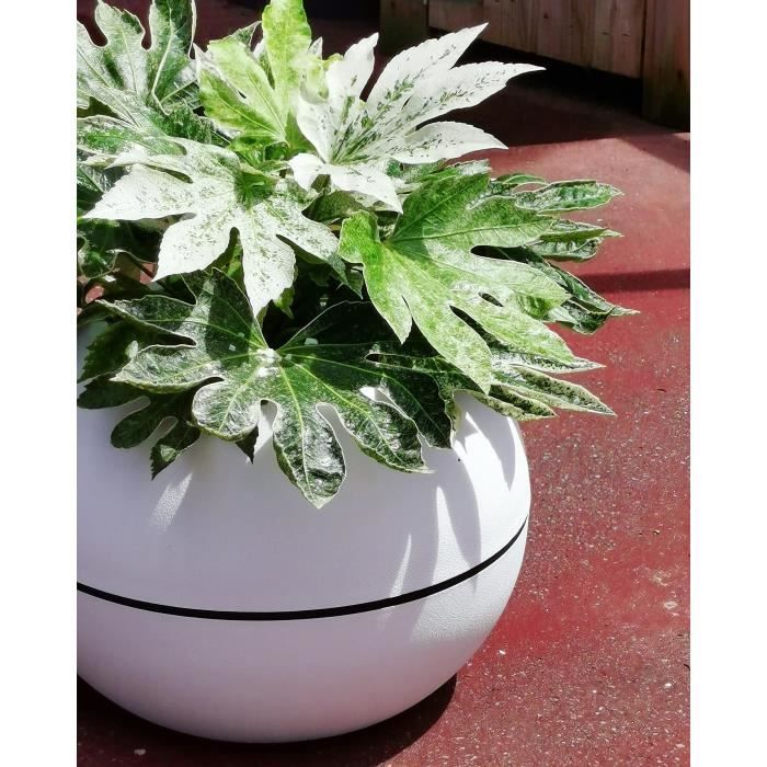 RIVIERA Round Flower Box - Plastic - D50 x H34.5 cm - White
