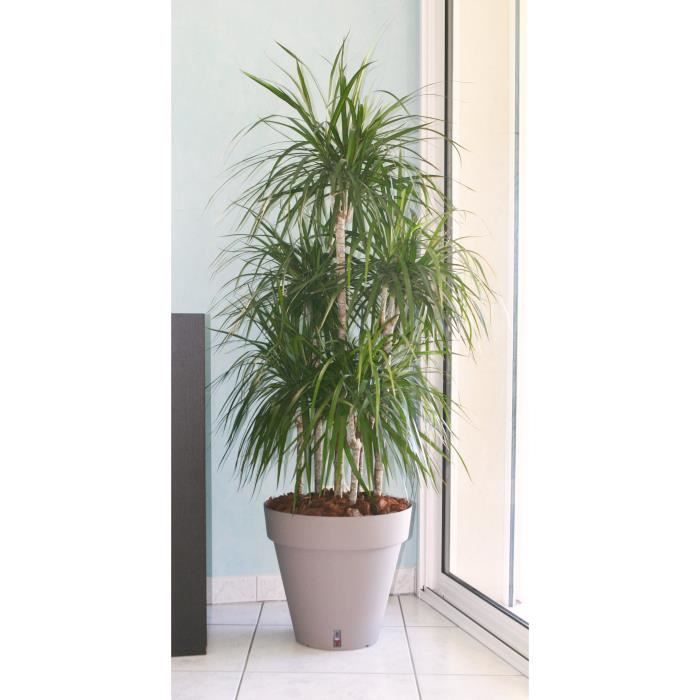 Pot de fleurs avec réserve d'eau - RIVIERA - Loft Rond - Ø 49 x H 45 cm -Taupe