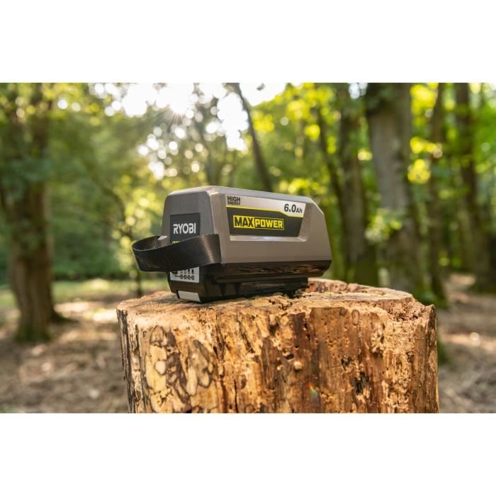 RYOBI - 36V MAXPOWER 6.0 Ah Lithium+ Battery - RY36B60B
