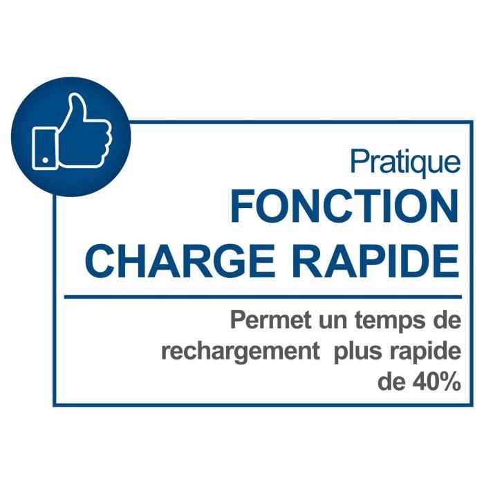 Double Charger - SCHEPPACH - 4.5 A - SDBC4.5A - Charges Two 20V IXES Batteries