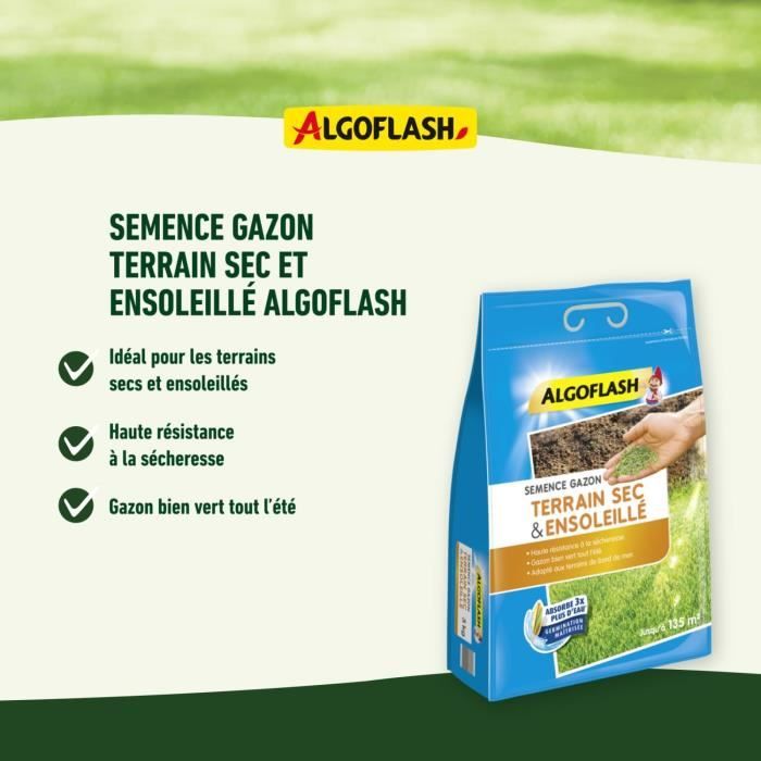 ALGOFLASH - Lawn care for dry, sunny soils 1 kg