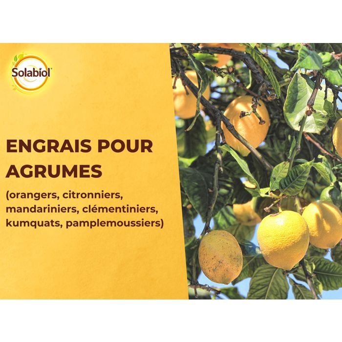 SOLABIOL Citrus Fertilizer - 1.5 kg - Promotes Fruiting
