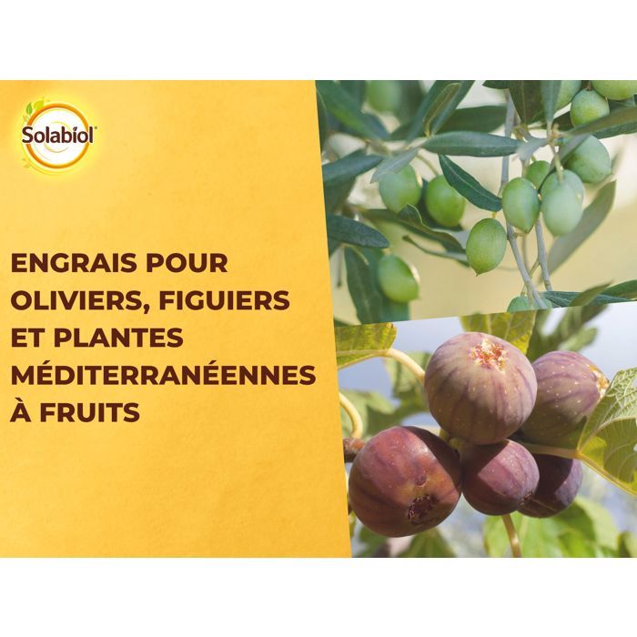 SOLABIOL Fertilizer for Olive and Mediterranean Plants - 750 g