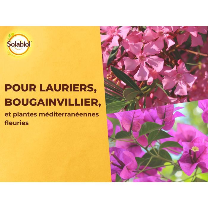 SOLABIOL Laurel & Bougainvillea Fertilizer - 1.5 kg - Up to 30 plants - Promotes flowering and growth