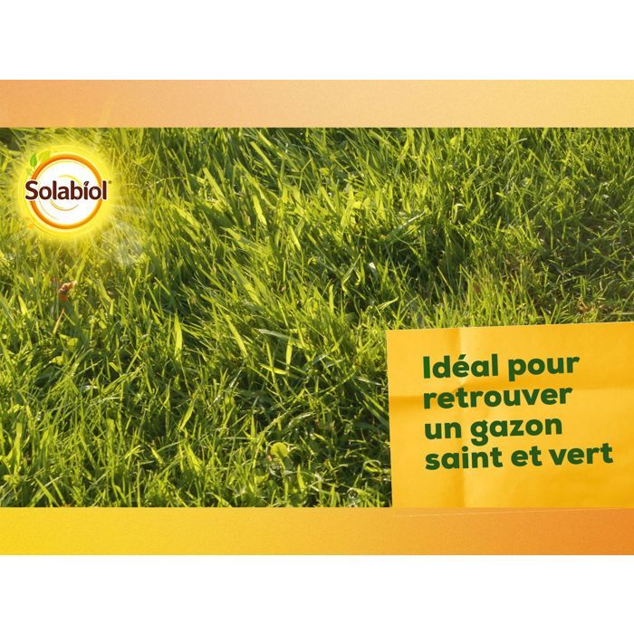 SOLABIOL Lime & Magnesium Carbonate - 10 kg - Granules - Corrects soil acidity - Gradual & long-lasting action