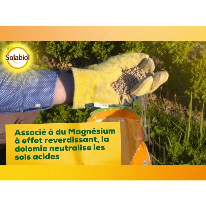 SOLABIOL Lime & Magnesium Carbonate - 10 kg - Granules - Corrects soil acidity - Gradual & long-lasting action