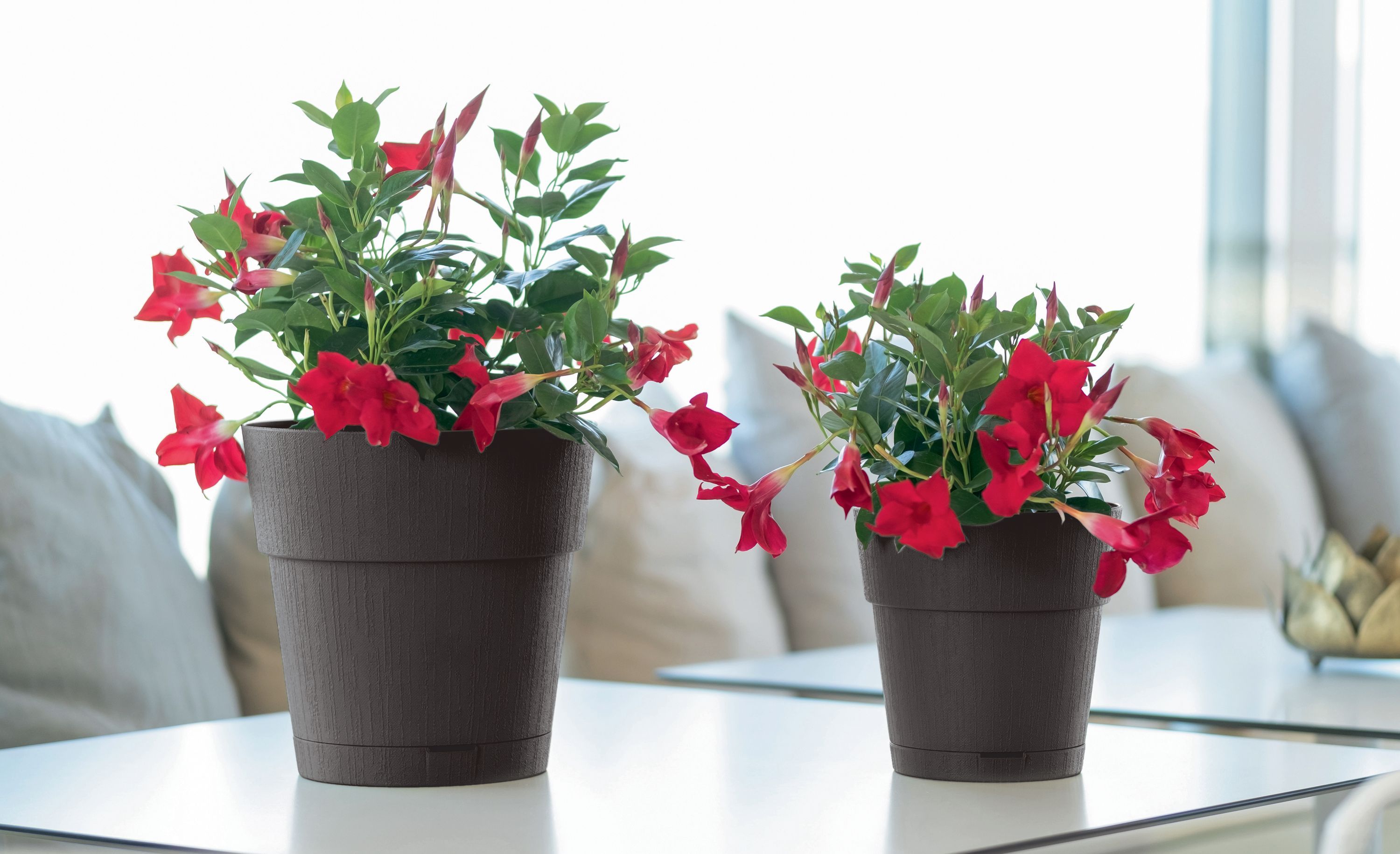 STEFANPLAST ETHICA Flower Pot - 2 L - 40x39 cm - With Water Reservoir - White h39