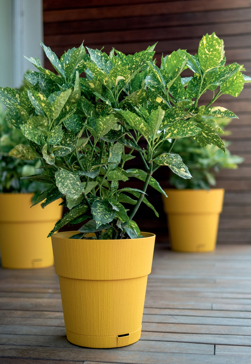 STEFANPLAST ETHICA Flower Pot - 2 L - 40x39 cm - With Water Reservoir - Mustard h39